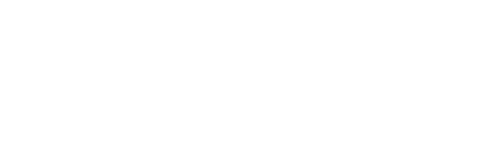 News Zio